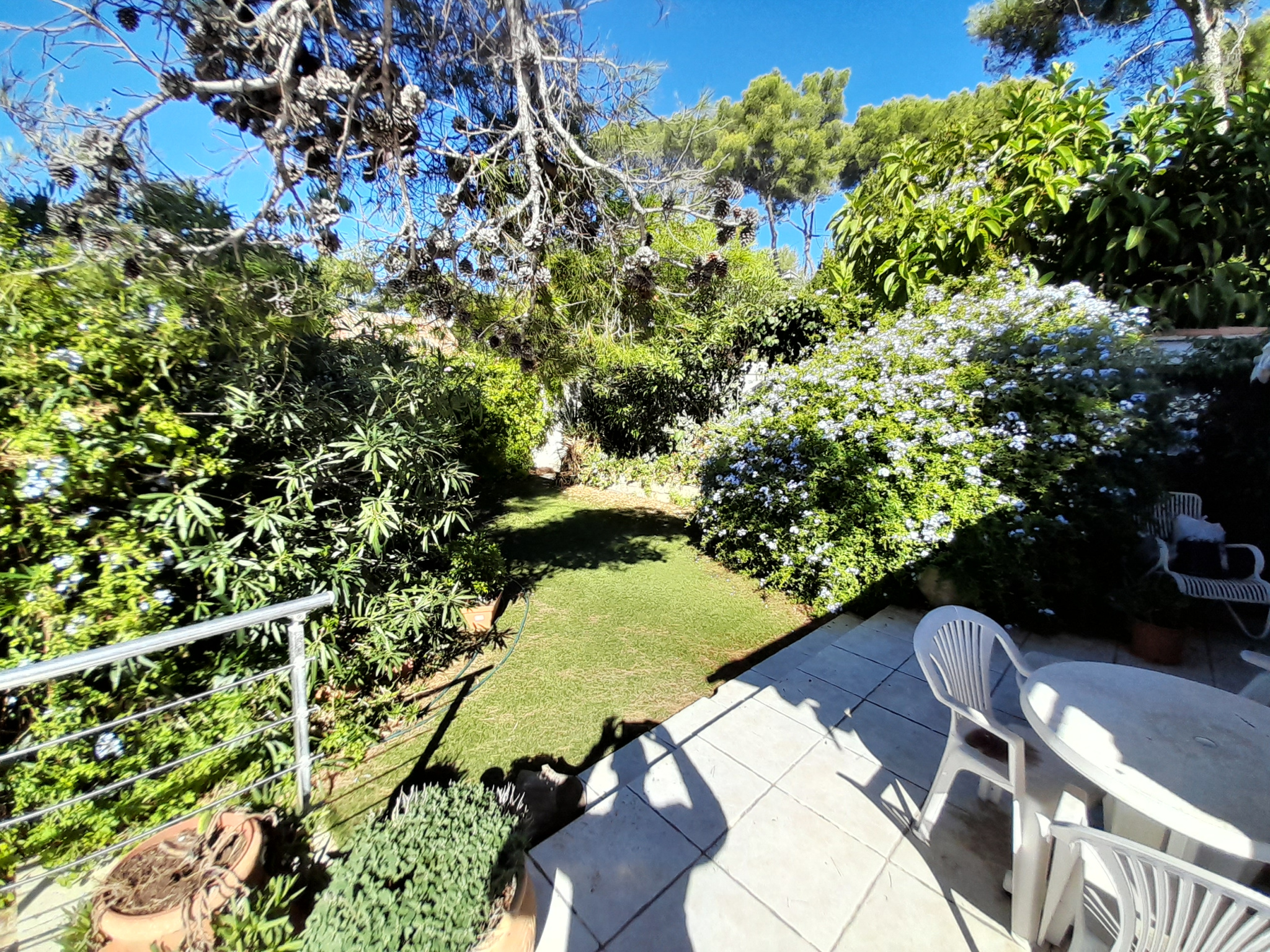 Photo 5