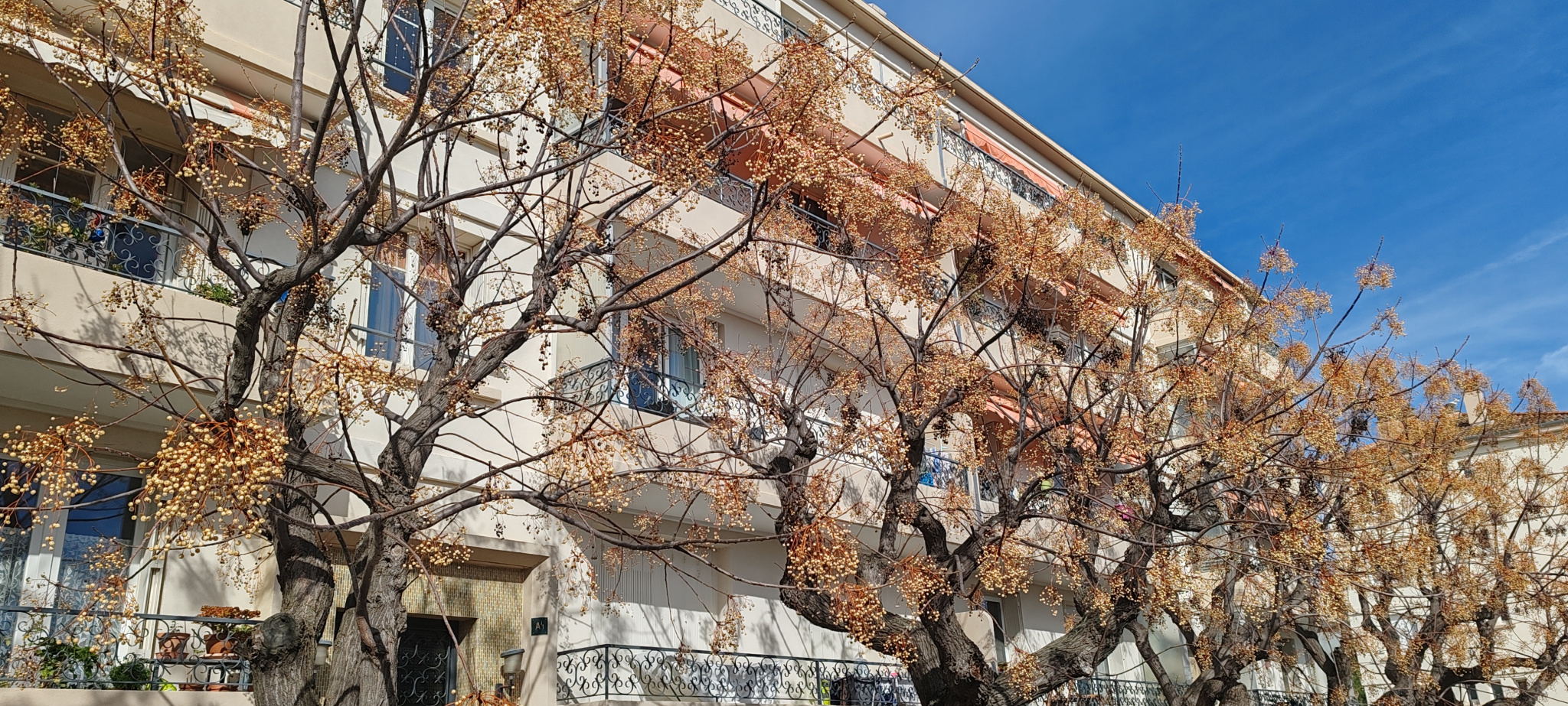 Vente Appartement 58m² 3 Pièces à Toulon (83000) - Grech Immobilier